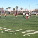 On the field!