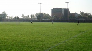 DSC00201